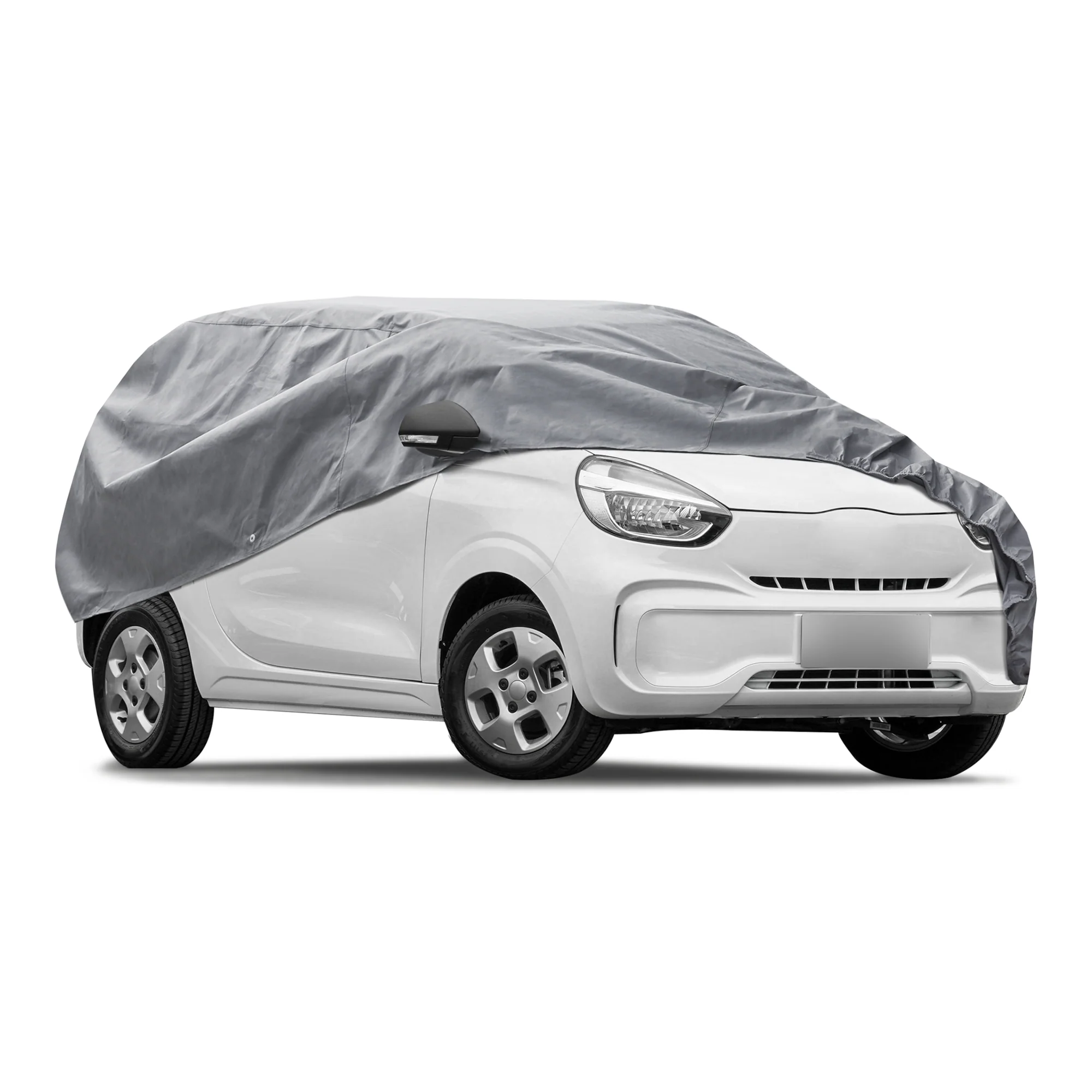 Miniatuur 1